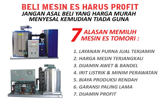 Promo Industrial Flakes Ice Machine